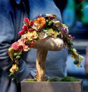 bloemen en planten vvbvanbree     1130